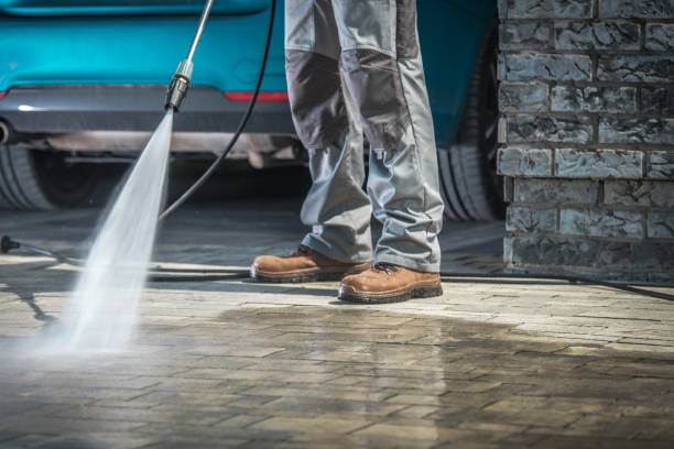 Best Winterizing Services  in Muscatine, IA