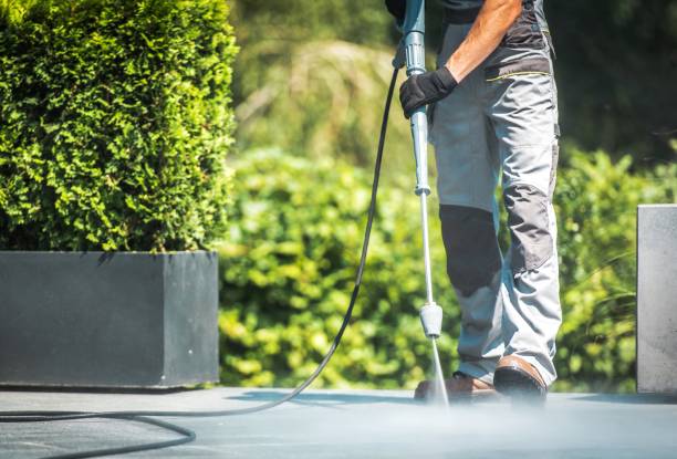 Best Rust Removal  in Muscatine, IA